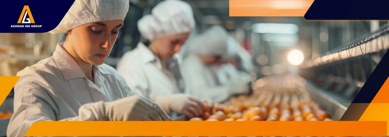 نگهداری و تعمیر قطعات ماشین آلات مواد غذایی